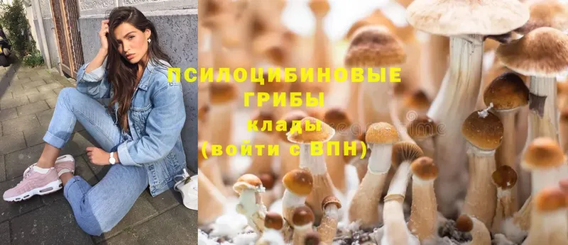 Псилоцибиновые грибы MAGIC MUSHROOMS  продажа наркотиков  Луза 